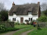 Thatched Cottage