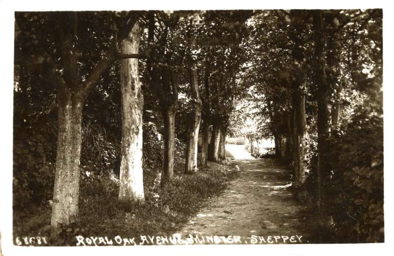 Royal Oak Avenue