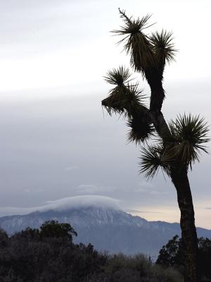 Cloud Resting on San Jacinto