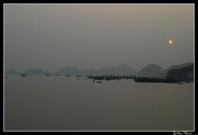 IMG_8083.jpg
