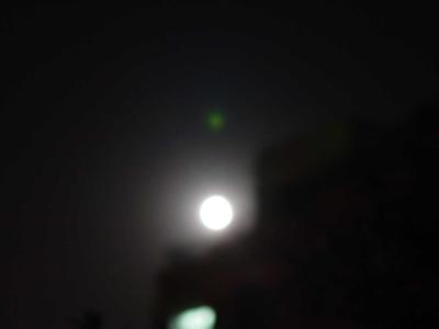 DSC03365.JPG