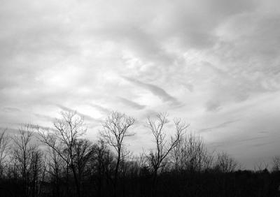 wintersky113004.jpg