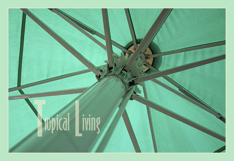 tropical_living01.jpg