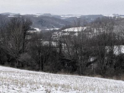 Winter Hillsides