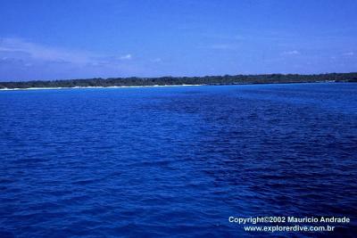 Azul do Caribe