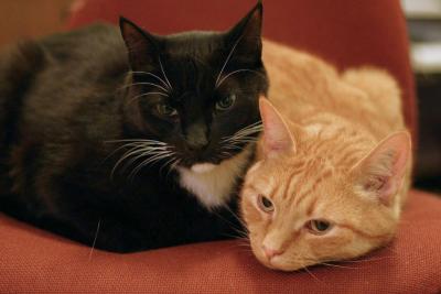 Dec 2: Brothers and friends