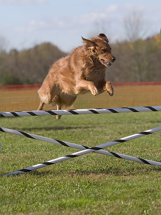 Amber Airborne