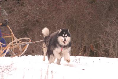 Dsc_0095.jpg