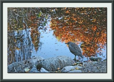 IMG_1580ps{Q}.jpg