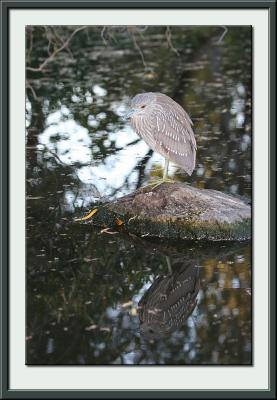 IMG_1601{Q}.jpg