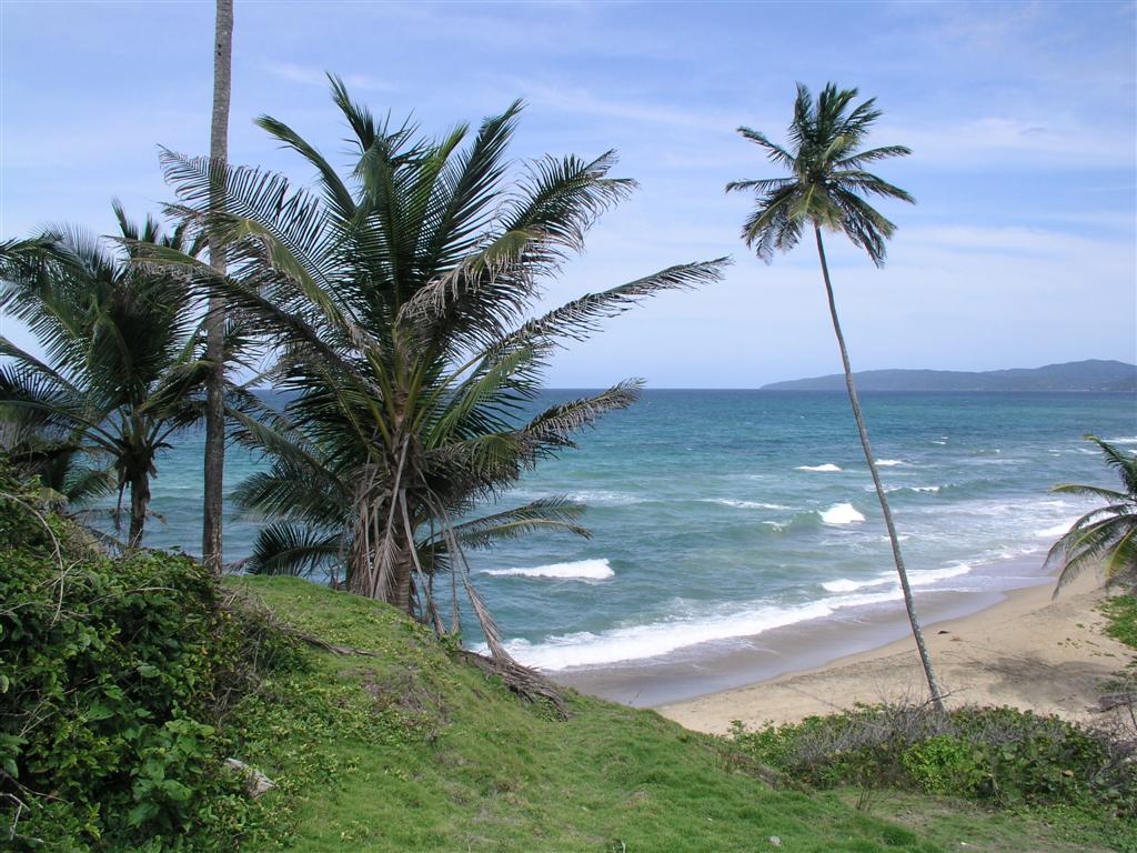 Playa Paraiso, Edo Vargas.JPG