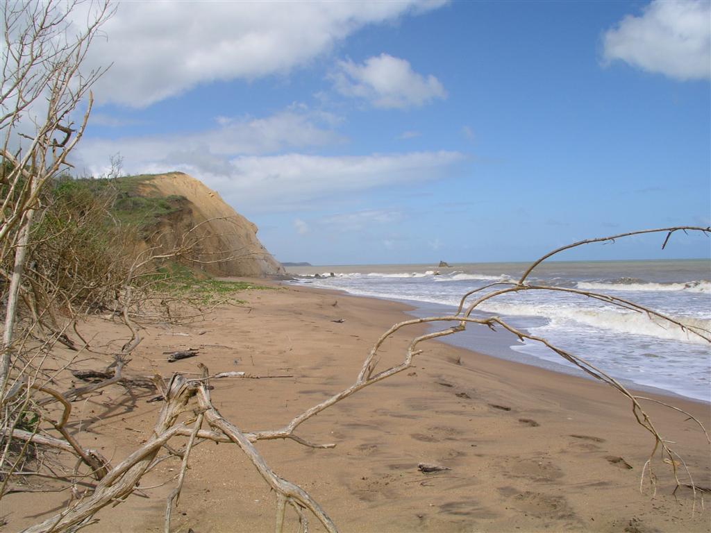 CaoToncoro, Edo Falcn 1