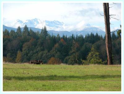 Fresh snow on the mountains.