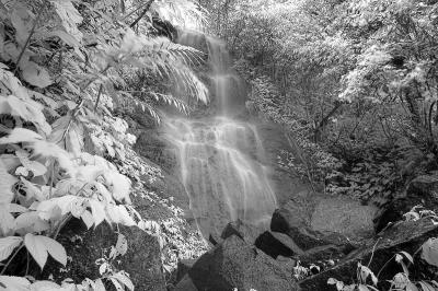 Cigangsa #5 (IR)