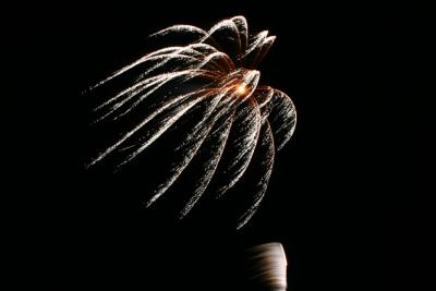 Fireworks  00073.jpg
