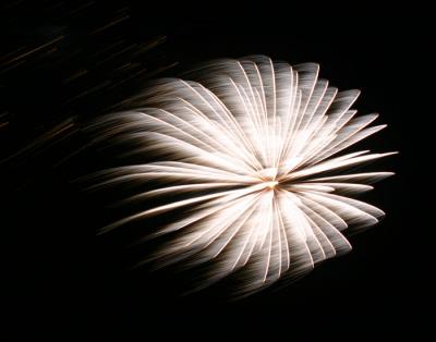Fireworks  00131.jpg
