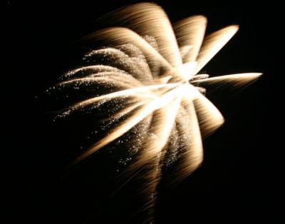 Fireworks  00137.jpg