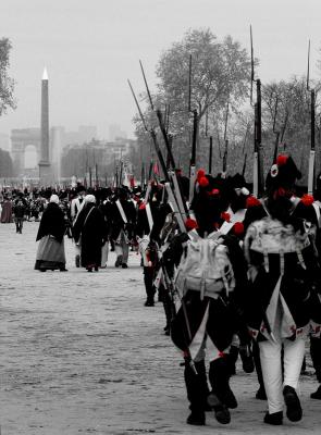 Napoleon army (06/12)