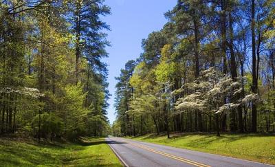 Natchez Trace Parkway