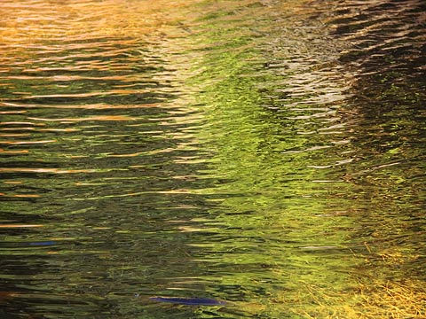 Reflections at Lower Keeley Falls