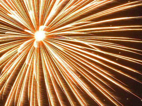 Firework11 Crop
