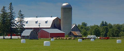 Farm of Hay Bales
