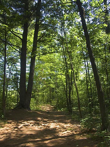 Mud Lake Trail