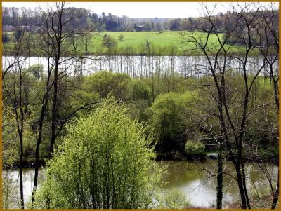 Limousin's pond