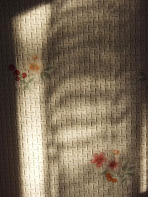 Shadow on wallpaper