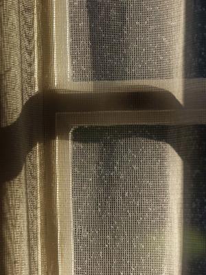 Shadow and light