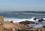 Pacific in Monterey, CA