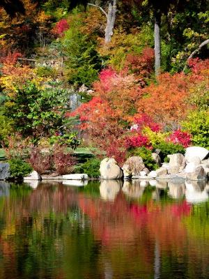8625raw-rockford-autumn.jpg