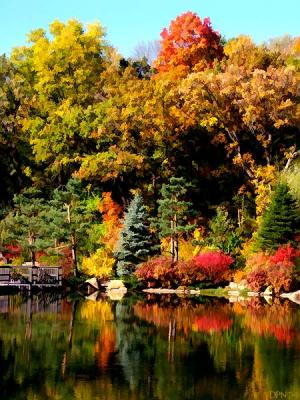 8282-rockford-art.jpg