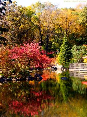 8283-autumn-rockford.jpg