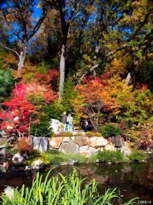 8236-autumn-wonders.jpg