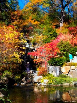 8177-fall-splendor.jpg