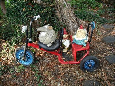 Tricycle built for 2...I bought for my twin Grandsons...to use in my garden