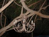 Chandelier hanging in a tree in my Wild Wood area