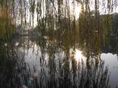 PC100951.JPG