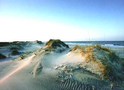 Outer Banks ,NC.