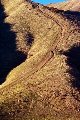 The Curves of the Cows Trail