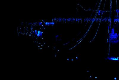 Blue Lights of Christmas