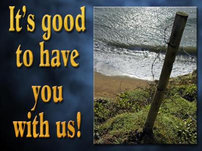 'It's good to have you' slide from the 'Hive beach' series