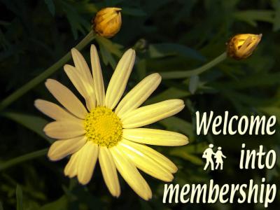 'Into membership' slide from 'Paignton flowers' series