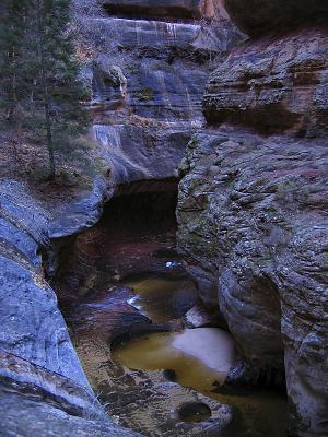 Zion National Park 2004