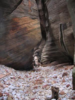 Zion National Park 2004