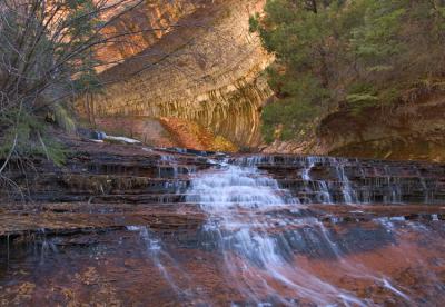 Zion National Park 2004