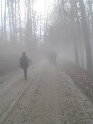 Lost in fog.jpg