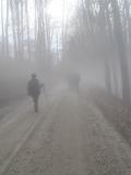 Lost in fog.jpg