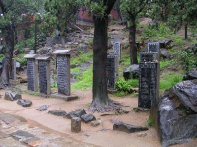 Carved calligraphy on all of the steles